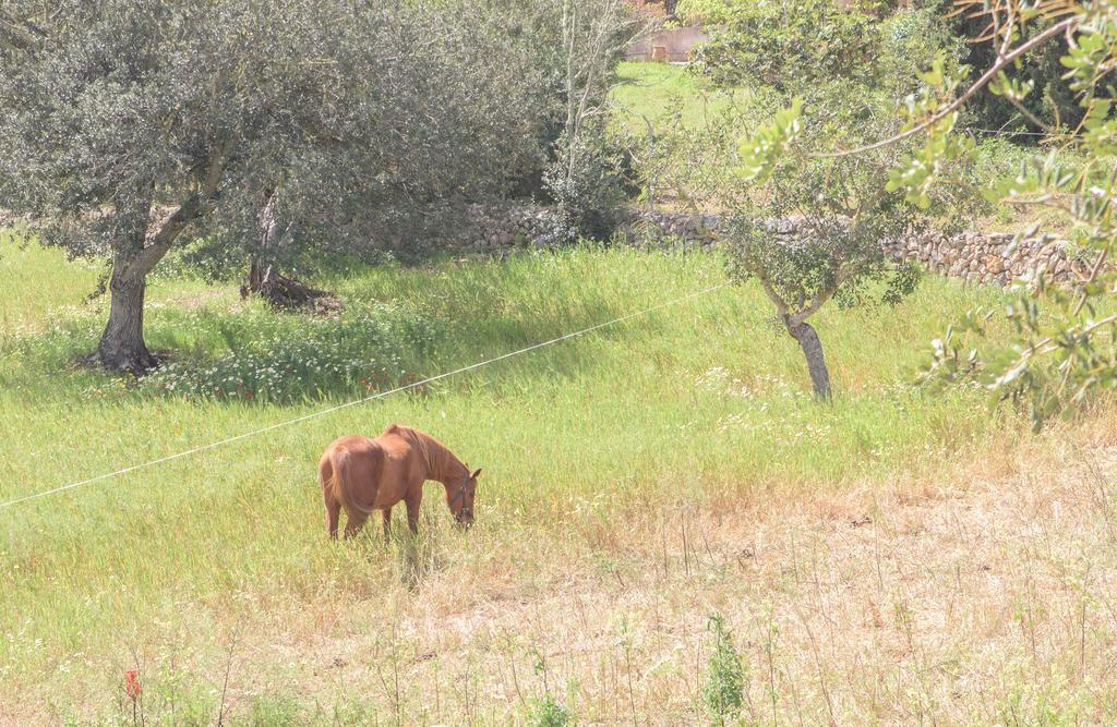 Finca Batlet S'Horta Eksteriør billede